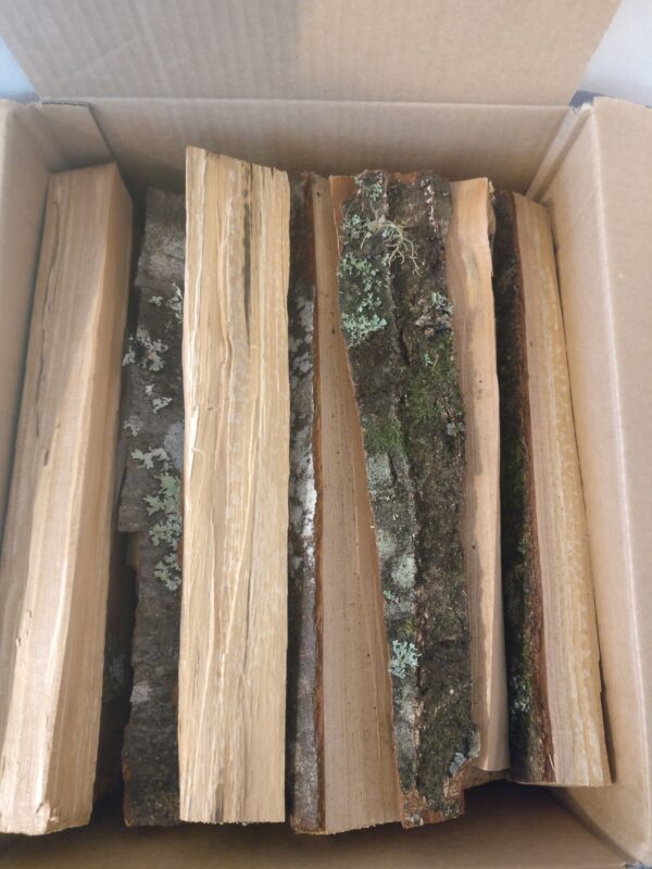 Starter wood 25L